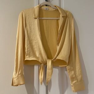 Aritzia Wilfred Silk Top